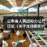山东省人民政府办公厅印发《关于加强新时代全省高技能人才队伍建设的实施意见》的通知(图2) 山东省人民政府办公厅印发《关于加强新时代全省高技能人才队伍建设的实施意见》的通知(图2)
