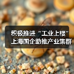 积极推进“工业上楼” 上海国企助推产业集群集聚集约发展(图4) 积极推进“工业上楼” 上海国企助推产业集群集聚集约发展(图4)