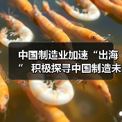 中国制造业加速“出海” 积极探寻中国制造未来之路(图3) 中国制造业加速“出海” 积极探寻中国制造未来之路(图3)