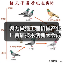 聚力做强工程机械产业!首届技术创新大会成功举办(图4) 聚力做强工程机械产业!首届技术创新大会成功举办(图4)