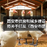 西安市住房和城乡建设局关于印发《西安市建设工程监理企业信用评价管理办法》的通知(图2) 西安市住房和城乡建设局关于印发《西安市建设工程监理企业信用评价管理办法》的通知(图2)