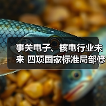 事关电子、核电行业未来 四项国家标准局部修订征求意见稿发布(图1) 事关电子、核电行业未来 四项国家标准局部修订征求意见稿发布(图1)