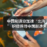 中国制造业加速“出海” 积极探寻中国制造未来之路(图4) 中国制造业加速“出海” 积极探寻中国制造未来之路(图4)