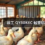 徐工 QY80K6C 起重机(图2) 徐工 QY80K6C 起重机(图2)