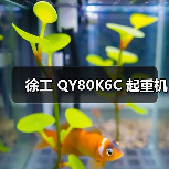 徐工 QY80K6C 起重机(图4) 徐工 QY80K6C 起重机(图4)