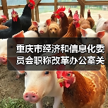 重庆市经济和信息化委员会职称改革办公室关于组织开展2023年全市工程技术工业设计专业职称申报评审工作的通知(图3) 重庆市经济和信息化委员会职称改革办公室关于组织开展2023年全市工程技术工业设计专业职称申报评审工作的通知(图3)