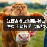 江西省港口集团拼搏三季度 干劲拉满“加速跑”(图2) 江西省港口集团拼搏三季度 干劲拉满“加速跑”(图2)