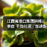 江西省港口集团拼搏三季度 干劲拉满“加速跑”(图4) 江西省港口集团拼搏三季度 干劲拉满“加速跑”(图4)