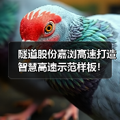 隧道股份嘉浏高速打造智慧高速示范样板!(图1) 隧道股份嘉浏高速打造智慧高速示范样板!(图1)