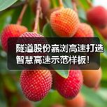 隧道股份嘉浏高速打造智慧高速示范样板!(图2) 隧道股份嘉浏高速打造智慧高速示范样板!(图2)