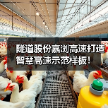 隧道股份嘉浏高速打造智慧高速示范样板!(图4) 隧道股份嘉浏高速打造智慧高速示范样板!(图4)