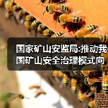 国家矿山安监局:推动我国矿山安全治理模式向事前预防转型(图3) 国家矿山安监局:推动我国矿山安全治理模式向事前预防转型(图3)