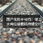 国产化势不可挡!徐工大吨位装载机持续交付东北(图3) 国产化势不可挡!徐工大吨位装载机持续交付东北(图3)