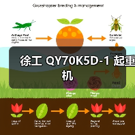 徐工 QY70K5D-1 起重机(图2) 徐工 QY70K5D-1 起重机(图2)