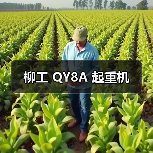 柳工 QY8A 起重机(图2) 柳工 QY8A 起重机(图2)