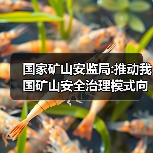 国家矿山安监局:推动我国矿山安全治理模式向事前预防转型(图1) 国家矿山安监局:推动我国矿山安全治理模式向事前预防转型(图1)