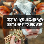 国家矿山安监局:推动我国矿山安全治理模式向事前预防转型(图4) 国家矿山安监局:推动我国矿山安全治理模式向事前预防转型(图4)
