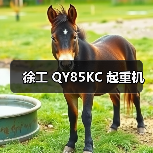 徐工 QY85KC 起重机(图4) 徐工 QY85KC 起重机(图4)