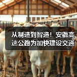 从制造到智造!安徽高速公路为加快建设交通强国提供有力支撑(图3) 从制造到智造!安徽高速公路为加快建设交通强国提供有力支撑(图3)