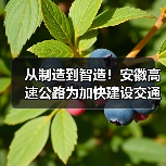 从制造到智造!安徽高速公路为加快建设交通强国提供有力支撑(图2) 从制造到智造!安徽高速公路为加快建设交通强国提供有力支撑(图2)