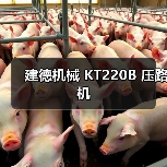 建德机械 KT220B 压路机(图2) 建德机械 KT220B 压路机(图2)
