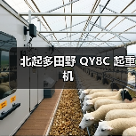 北起多田野 QY8C 起重机(图1) 北起多田野 QY8C 起重机(图1)