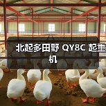 北起多田野 QY8C 起重机(图4) 北起多田野 QY8C 起重机(图4)