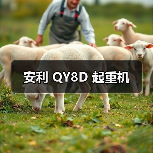 安利 QY8D 起重机(图4) 安利 QY8D 起重机(图4)