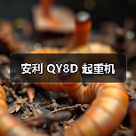 安利 QY8D 起重机(图3) 安利 QY8D 起重机(图3)