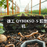 徐工 QY80K5D-5 起重机（图1）