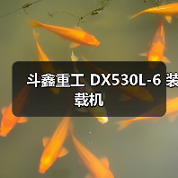 斗鑫重工 DX530L-6 装载机（图1）