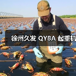 徐州久发 QY8A 起重机（图1）