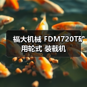 福大机械 FDM720T矿用轮式 装载机(图2) 福大机械 FDM720T矿用轮式 装载机(图2)