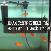 助力打造东方枢纽“超级工程” 上海建工加速推进工程建设（图3）