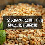 全长约200公里！广汕高铁全线开通运营（图2）