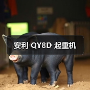 安利 QY8D 起重机(图2) 安利 QY8D 起重机(图2)