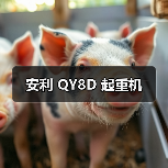 安利 QY8D 起重机(图1) 安利 QY8D 起重机(图1)