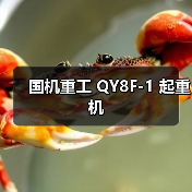 国机重工 QY8F-1 起重机(图4) 国机重工 QY8F-1 起重机(图4)