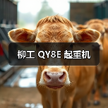 柳工 QY8E 起重机(图3) 柳工 QY8E 起重机(图3)
