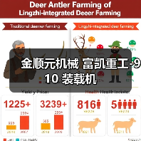 金顺元机械 富凯重工-910 装载机（图3）