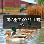 国机重工 QY8F-1 起重机(图2) 国机重工 QY8F-1 起重机(图2)
