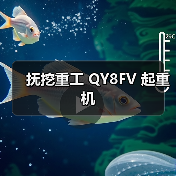 抚挖重工 QY8FV 起重机(图1) 抚挖重工 QY8FV 起重机(图1)