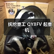 抚挖重工 QY8FV 起重机(图3) 抚挖重工 QY8FV 起重机(图3)