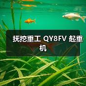抚挖重工 QY8FV 起重机(图4) 抚挖重工 QY8FV 起重机(图4)