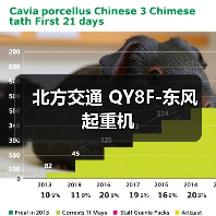 北方交通 QY8F-东风 起重机(图1) 北方交通 QY8F-东风 起重机(图1)