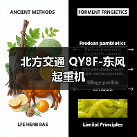 北方交通 QY8F-东风 起重机(图2) 北方交通 QY8F-东风 起重机(图2)