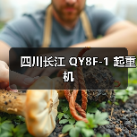 四川长江 QY8F-1 起重机(图3) 四川长江 QY8F-1 起重机(图3)