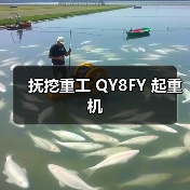 抚挖重工 QY8FY 起重机（图4）