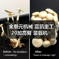 金顺元机械 富凯重工-920加高臂 装载机(图3) 金顺元机械 富凯重工-920加高臂 装载机(图3)