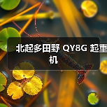 北起多田野 QY8G 起重机(图3) 北起多田野 QY8G 起重机(图3)
